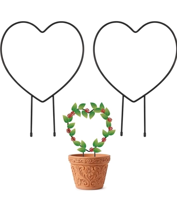 MAAWA DECOR Heart Shaped Iron Plant Support Stakes for Home Garden (Pack of 2)