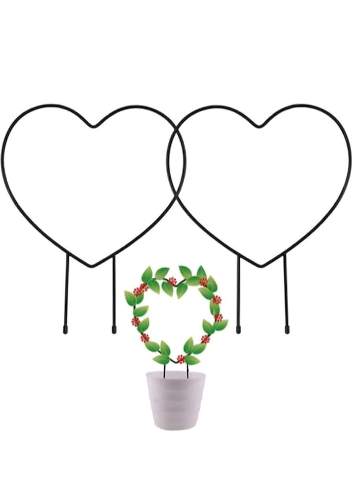 MAAWA DECOR Heart Shaped Iron Plant Support Stakes for Home Garden (Pack of 2)